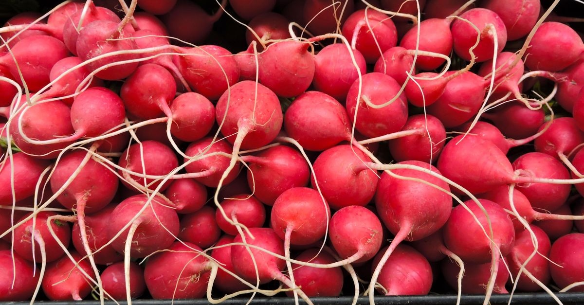 Radieschen richtig aussäen: Mit diesen Tipps gelingt die knackige Ernte garantiert