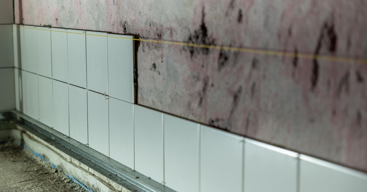 Schimmel frühzeitig erkennen: So schützen Sie Ihr Zuhause, bevor er zum Problem wird