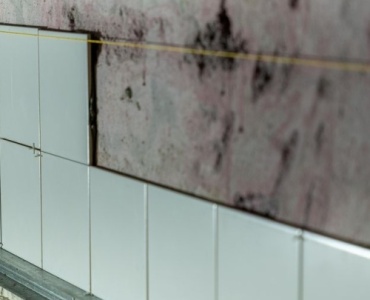 Schimmel frühzeitig erkennen: So schützen Sie Ihr Zuhause, bevor er zum Problem wird