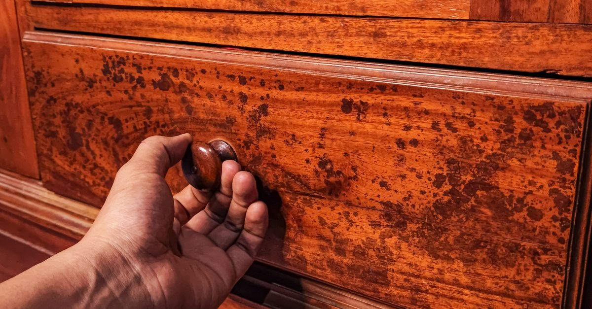 Schimmel hinter Möbeln vermeiden: So bleibt dein Zuhause frisch, trocken und gesund