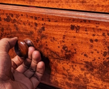Schimmel hinter Möbeln vermeiden: So bleibt dein Zuhause frisch, trocken und gesund