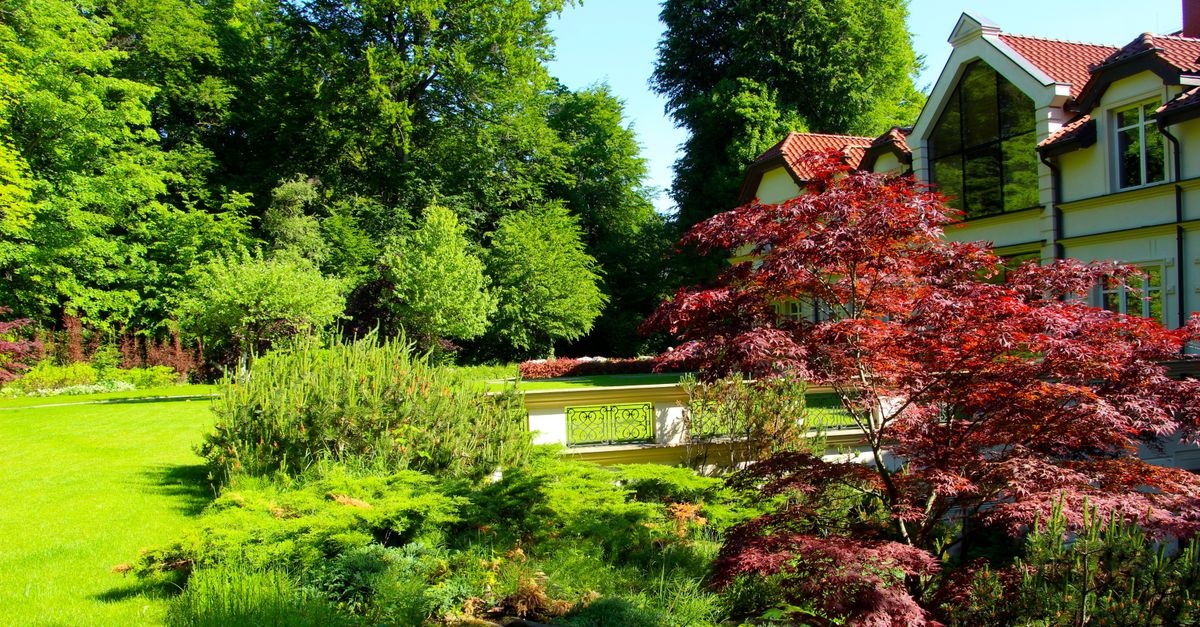Garten pflegeleicht neu gestalten: Mit cleveren Ideen zum entspannten Wohlfühlort