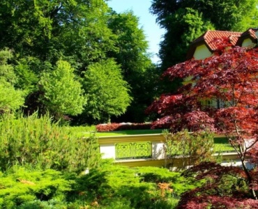 Garten pflegeleicht neu gestalten: Mit cleveren Ideen zum entspannten Wohlfühlort